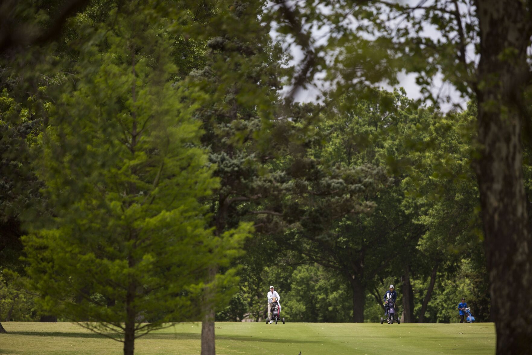 Boys State Golf Championships